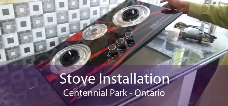 Stove Installation Centennial Park - Ontario