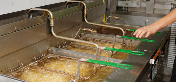 Commercial Fryer Repair in Mimico